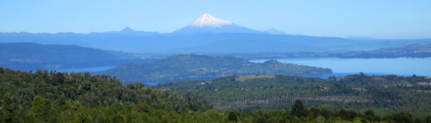 612902126_1314089027425420_730634876584097792_n