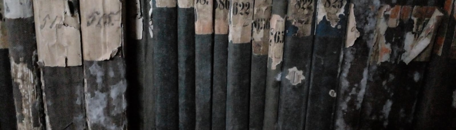 libros post inundacion 2